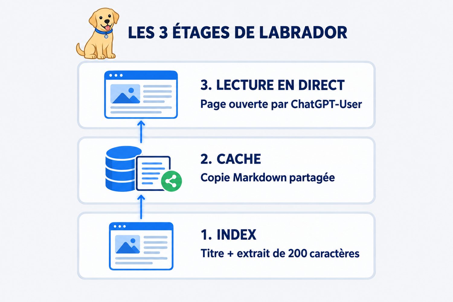 Schéma des trois étages de Labrador : l’index garde le titre et un extrait de 200 caractères, le cache stocke une copie Markdown partagée, la lecture en direct ouvre la page via ChatGPT-User.